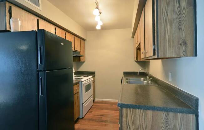 a kitchen with a black refrigerator and a sink