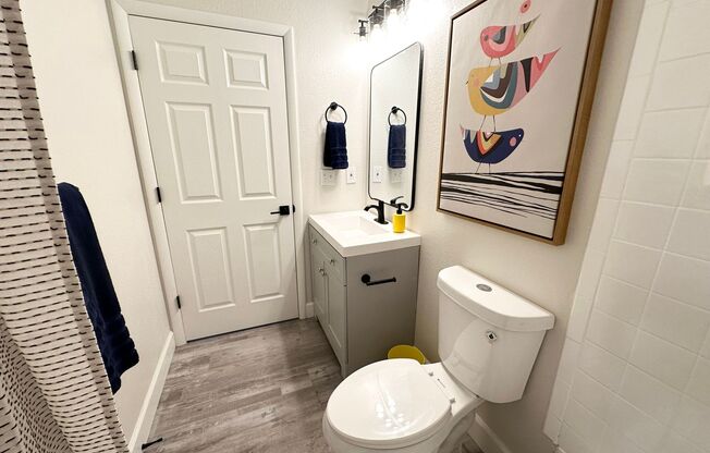 North Star Apartments - Beautiful Remodeled Apartments