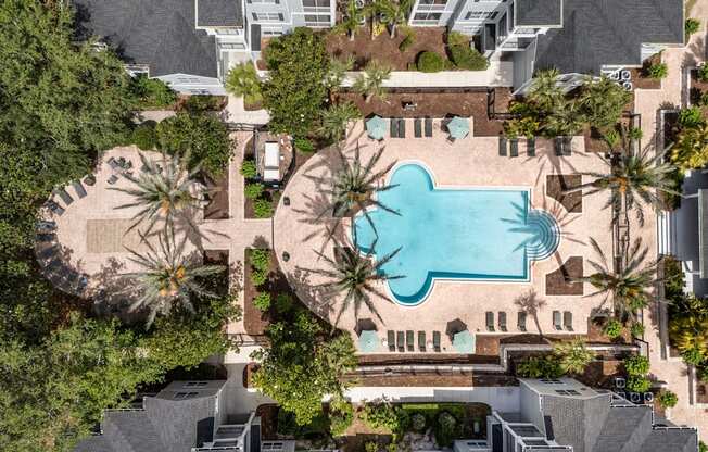 A swimming pool surrounded by palm trees and a building.