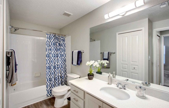 Newly Renovated Bathrooms at The Preserve at Westchase