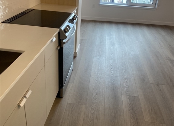 Studio, 1 bath, 387 sqft, $2,450, Unit 507