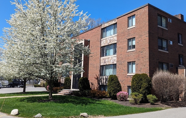 2 beds, 1 bath, 750 sqft, $2,395, Unit 42