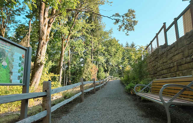 A gravel pathway with a bench and a wooden fence.