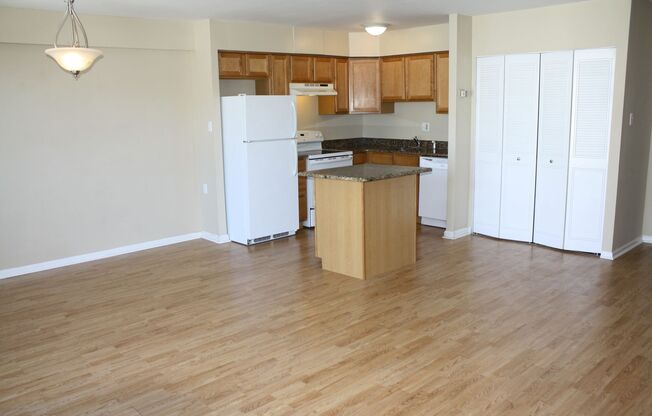 1 bed, 1 bath, $1,895, Unit LL - 313