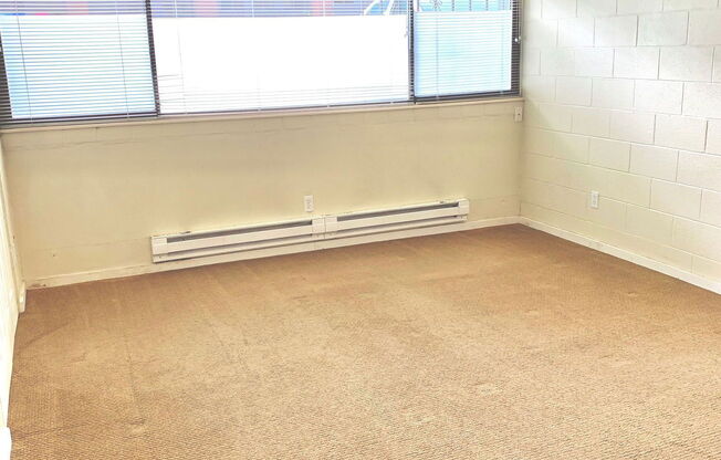 Studio, 1 bath, 302 sqft, $1,100, Unit 104