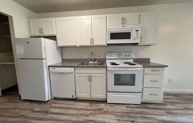 1 bed, 1 bath, 595 sqft, $1,225, Unit 5