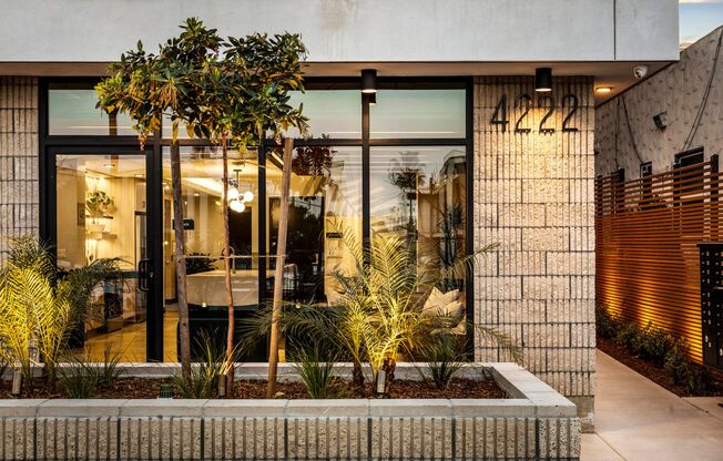 Georgia Modern