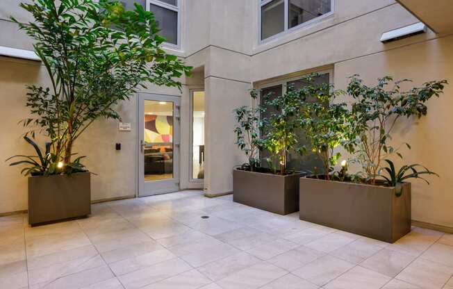 the entrance to an office building with plants in front of the doors