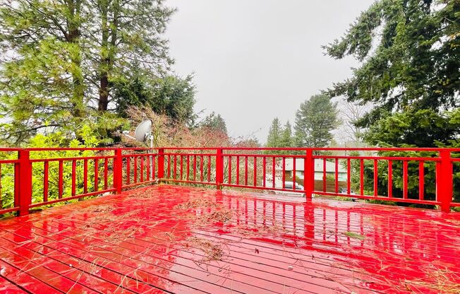 Tranquil House on Quiet South Delridge Street!