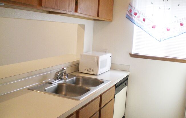 Studio, 1 bath, 534 sqft, $1,000, Unit 101