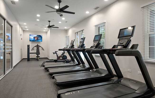 A row of treadmills are lined up in a gym.