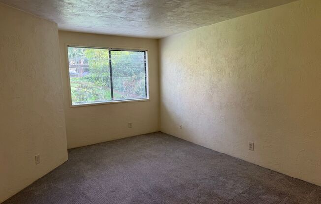 1 bed, 1 bath, 700 sqft, $1,440, Unit 0223