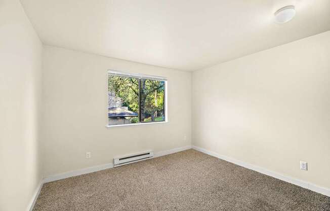 A room with a window and a carpeted floor.