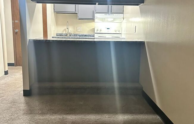 Studio, 1 bath, 460 sqft, $900, Unit 210N