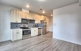 Studio, 1 bath, 360 sqft, $1,245, Unit ORYA1515-207