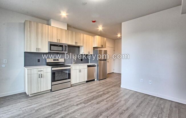 Studio, 1 bath, 360 sqft, $1,245, Unit ORYA1515-207