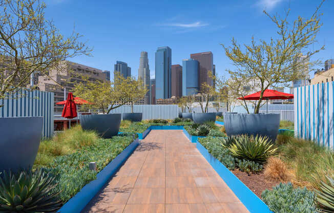 Rooftop Lounge Space