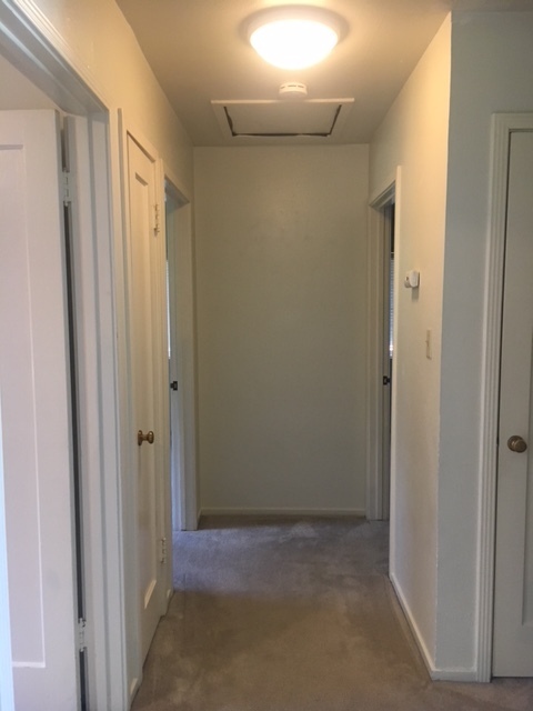Charming home located on beautiful tree-lined street central to shopping and freeways! A rare, single-story home 3 Beds and 1 Bath opportunity!