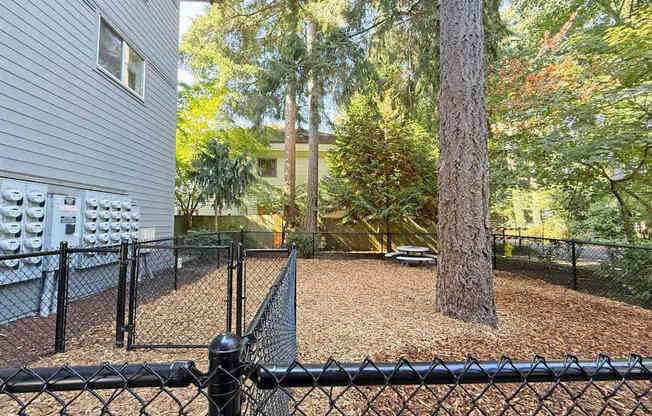 An enclosed dog park at 6Wood Flats Apartments in Lacey, WA.