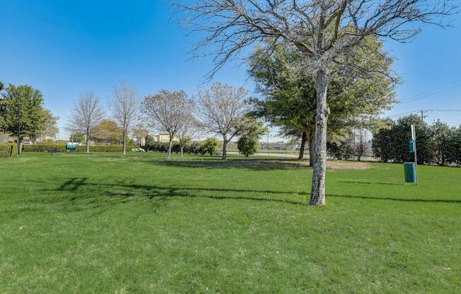 a park with a tree and a shadow of a tree