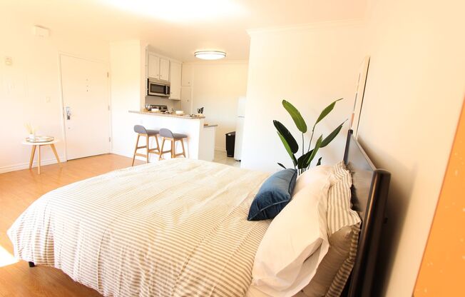 Studio, 1 bath, 390 sqft, $1,900, Unit 301