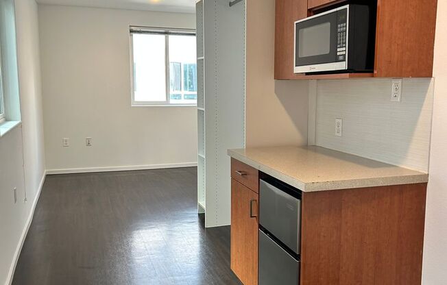 Studio, 1 bath, 176 sqft, $1,495, Unit 1300