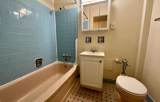 1 bed, 1 bath, $905, Unit 507