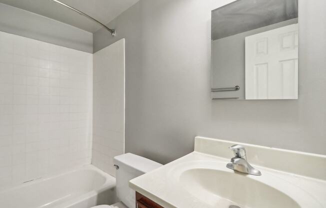 a bathroom with a sink and a toilet and a tub