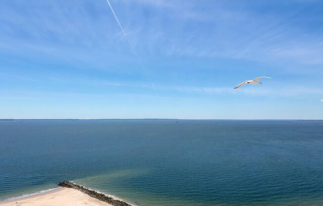 1 bed, 1 bath, 572 sqft, $2,888, Unit 5B