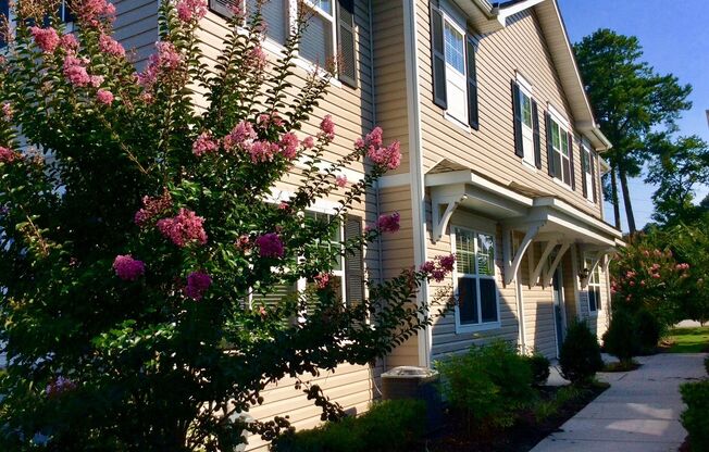 Marvelous 2 Bedroom 2 Bathroom In Private Chesapeake Community