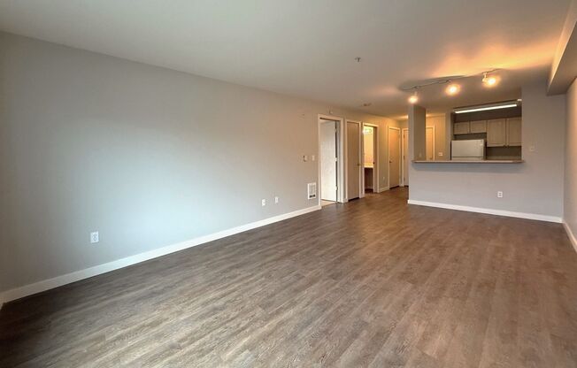 1 bed, 1 bath, 675 sqft, $1,550, Unit 504