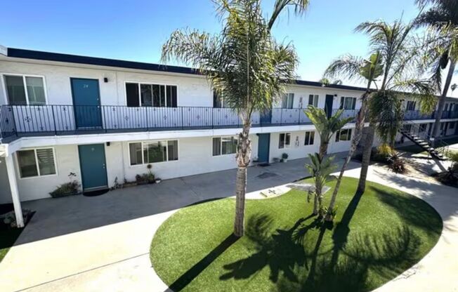 Imperial Beach Palms