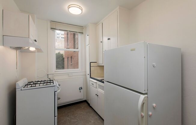 Studio, 1 bath, 309 sqft, $1,495, Unit 207