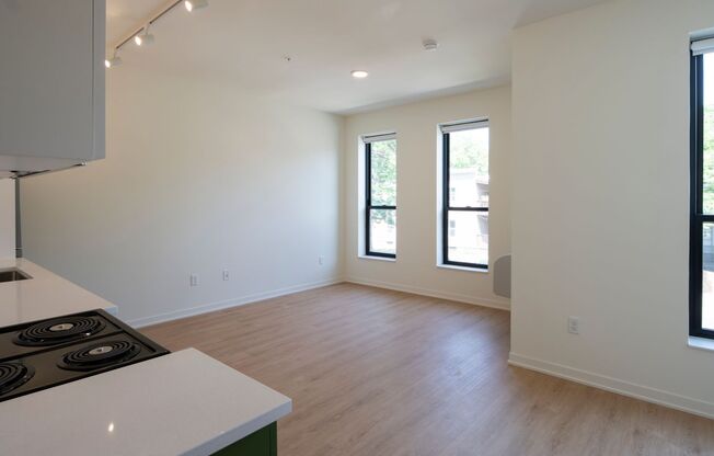 Studio, 1 bath, 394 sqft, $1,236, Unit 307
