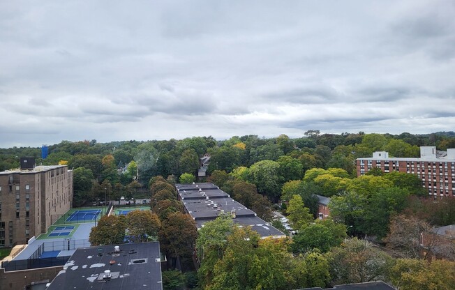 Studio, 1 bath, 500 sqft, $2,500, Unit 1212