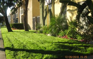 18555 Burbank Blvd Apartments