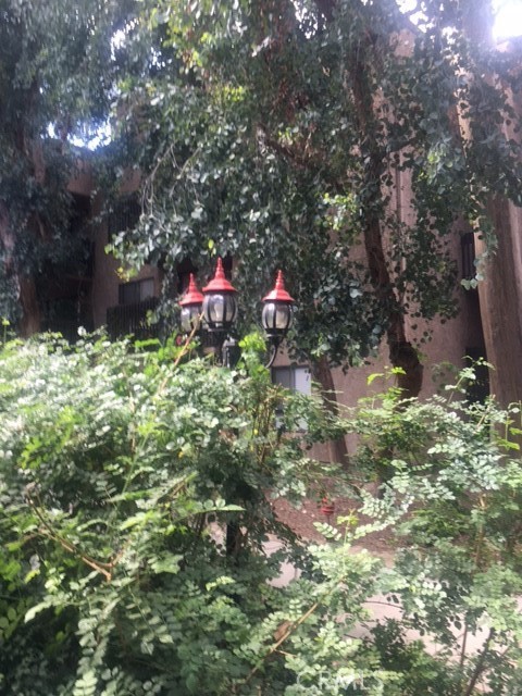 Studio, 1 bath, 358 sqft, $1,680, Unit 350F