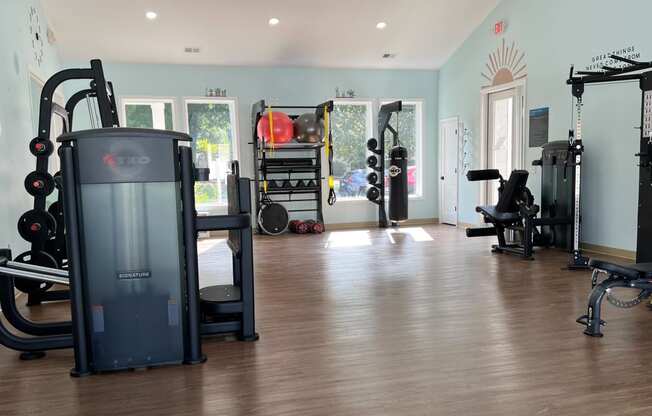 a fitness room with weights and cardio equipment in a home gym