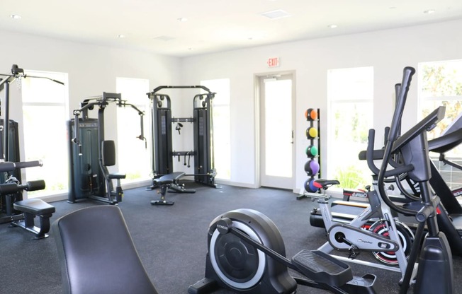 Amelia gym equipment