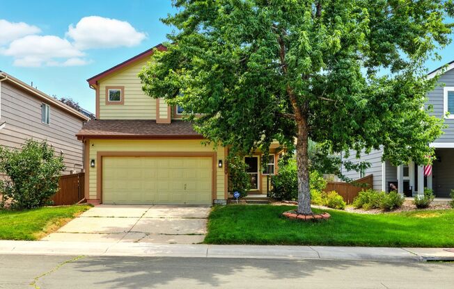 Amazing 3 Bed 4 Bath Highlands Ranch House For Rent!