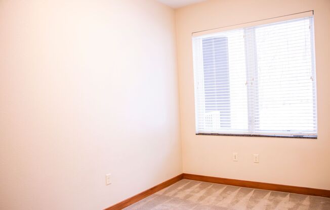 1 bed, 1 bath, $1,325, Unit 312