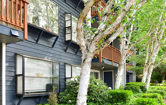 the exterior of the house is painted in a dark gray color with white birch trees and