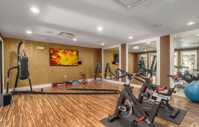 A gym with exercise equipment and a painting on the wall.