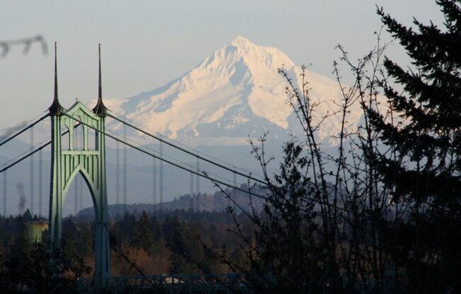 1 bed, 1 bath, 551 sqft, $1,410, Unit 2-113