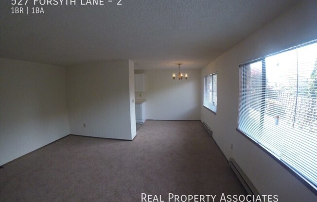 527 FORSYTH LN
