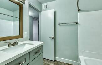 a bathroom with a sink and a shower and a mirror