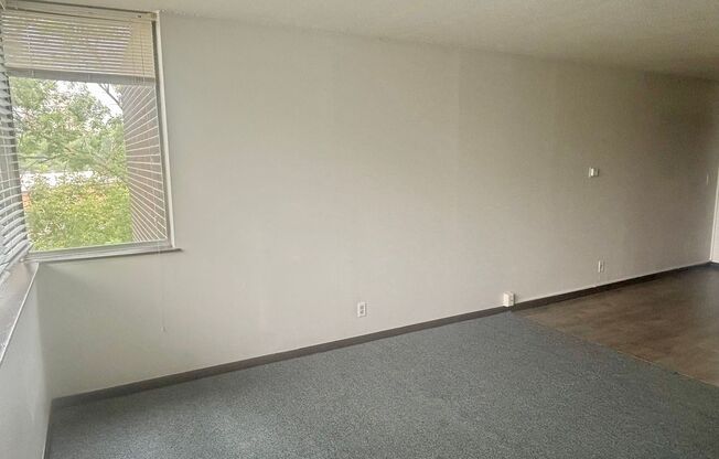 Studio, 1 bath, $695, Unit 504