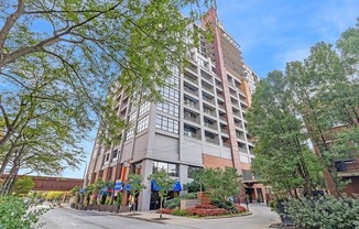 1530 S State St, Chicago IL 503