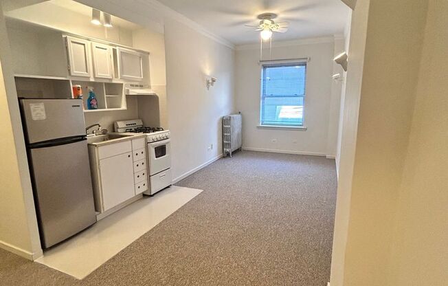 Studio, 1 bath, 241 sqft, $1,300, Unit 214