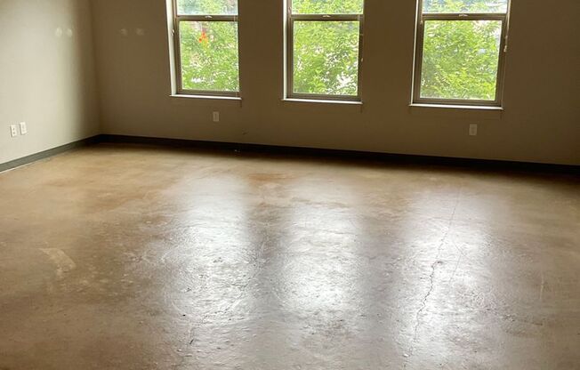 Studio, 1 bath, 567 sqft, $1,325, Unit 103